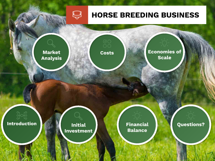 horse breeding business plan pdf