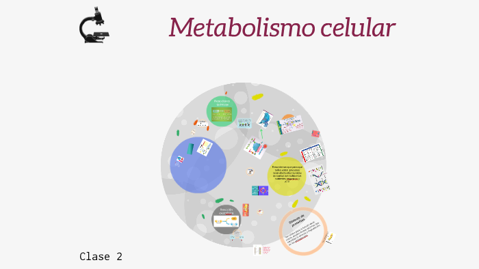 Metabolismo Celular By Yenesis Romero On Prezi 7296