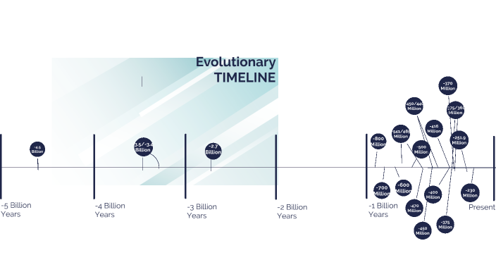 Evolutionary Timeline by Jon Owens on Prezi