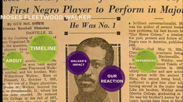 Moses Fleetwood Walker: The Forgotten Man Who Actually Integrated