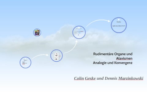 Rudimentäre Organe und Atavismen by Dennis Marzinkowski on Prezi