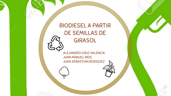 BIODIESEL A PARTIR DE SEMILLAS DE GIRASOL by sebastian rodriguez