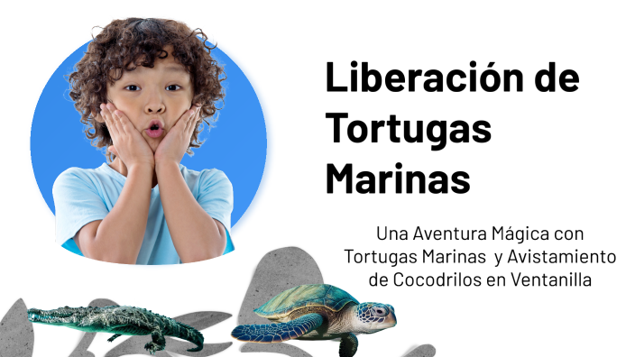 Liberación de Tortugas Marinas by Viajes Jalietza on Prezi