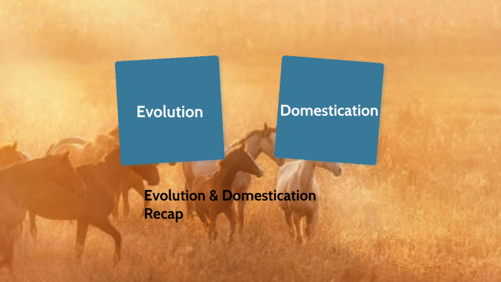 PART 2 Domestication Recap by Hannah Williams on Prezi