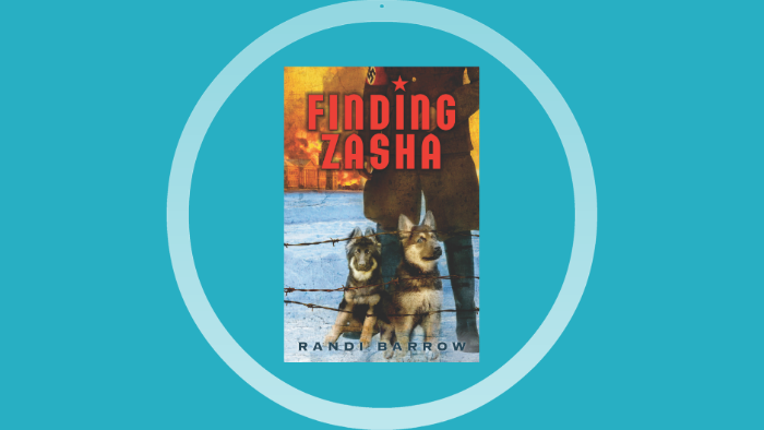 finding zasha book review