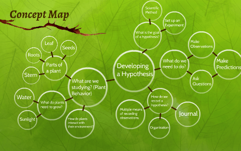 Concept Map by Samantha Diane on Prezi