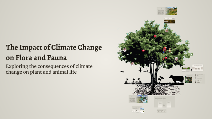 The Impact of Climate Change on Flora and Fauna by AB BA on Prezi