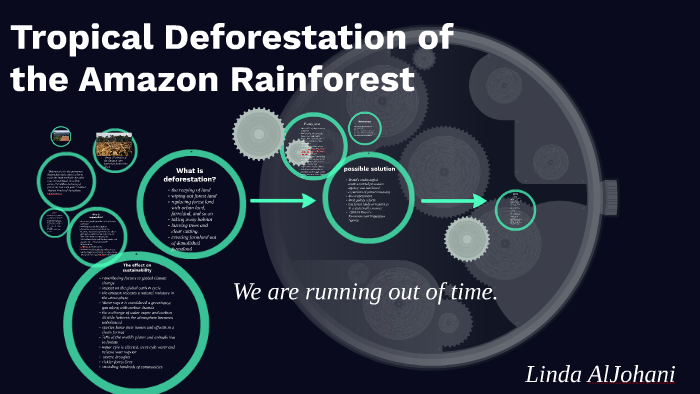 Tropical Deforestation of the Amazon Rainforest by linda johani on Prezi