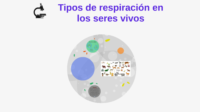 Tipos de respiración en los seres vivos by Zujey Aleman