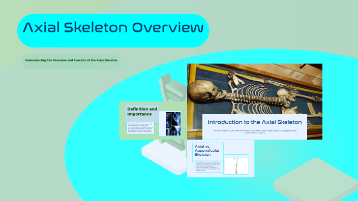 Axial Skeleton Overview by Moumene Miloudi on Prezi