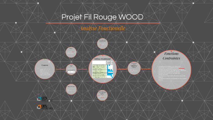 Projet Fil Rouge WOOD by gael gillotot on Prezi