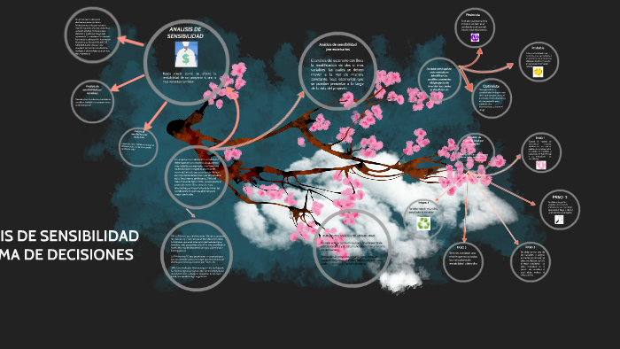 Analisis De Sensibilidad By Laura Valentina On Prezi 3306