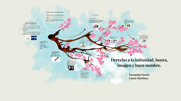 Derecho A La Intimidad, Honra, Imagen Y Reputacion. By Fernanda Torres ...