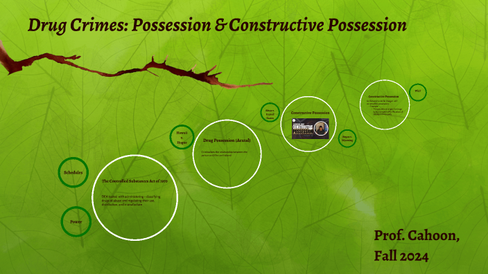 Drug Crimes: Possession & Constructive Possession by Claire Cahoon on Prezi