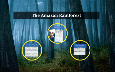 The Amazon Rainforest by christian perez on Prezi