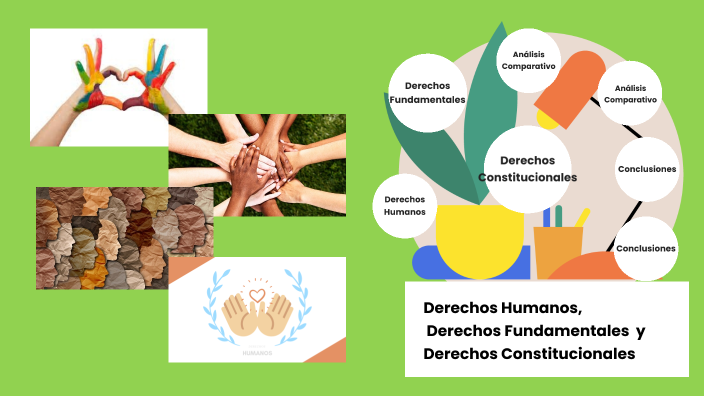 Derechos Humanos, Fundamentales Y Constitucionales By Luz Cuyo On Prezi