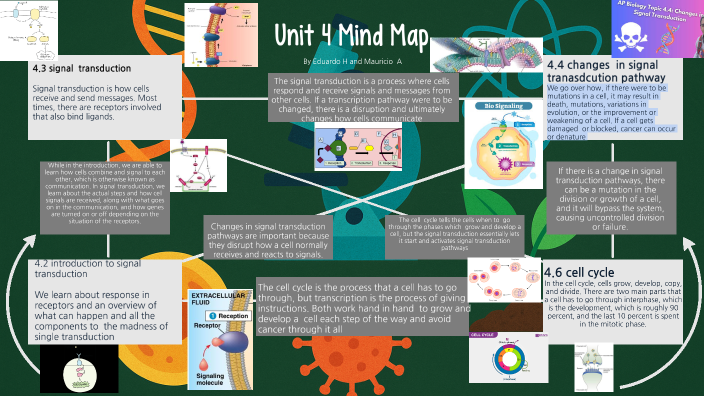 Unit 4 mind map by Mauricio Alvarez on Prezi