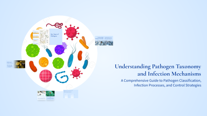 Thalgott Classification Understanding Pathogen Taxonomy and Infection Mechanisms by akhsan on Prezi