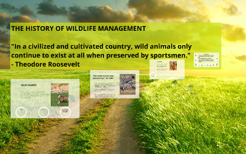 THE HISTORY OF WILDLIFE MANAGEMENT by jason giesen on Prezi