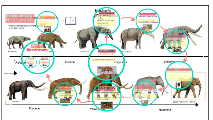Evolución del elefante by Rocio Castroviejo on Prezi