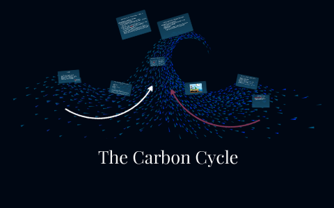 The Carbon Cycle by Alana Lopez on Prezi