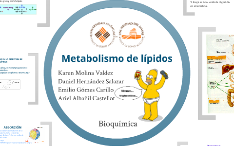 cambiar el metabolismo cura