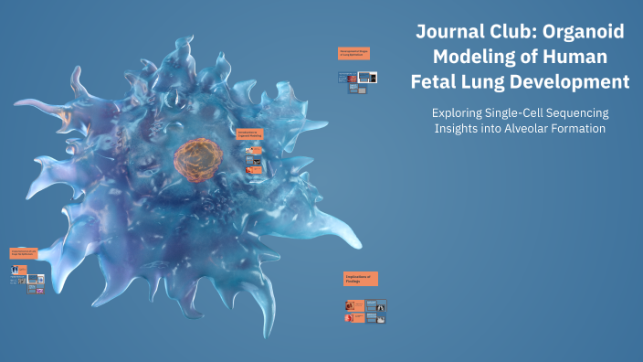 Journal Club: Organoid Modeling of Human Fetal Lung Development by Yuxi ...
