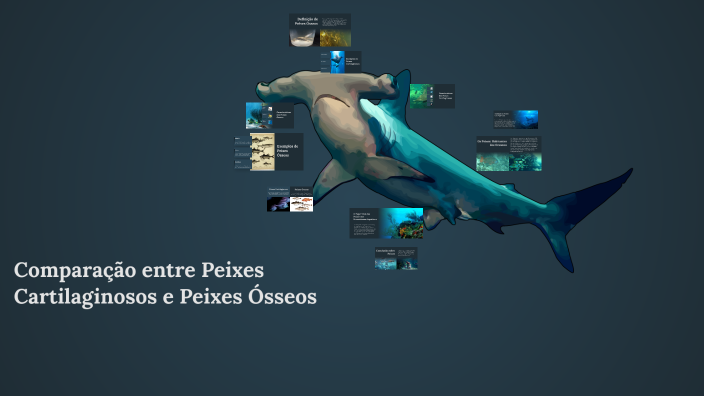 Comparação entre Peixes Cartilaginosos e Peixes Ósseos by Zandaya ...