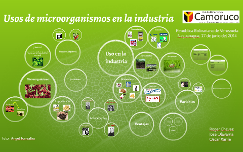 Usos de microorganismos en la industria by laura xarrie on Prezi