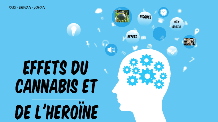 LES PERTURBATIONS DU SYSTEME NERVEUX by safya zeg on Prezi