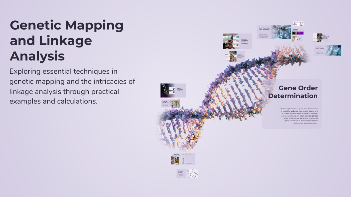 Genetic Mapping and Linkage Analysis by Nasreen Hussein on Prezi