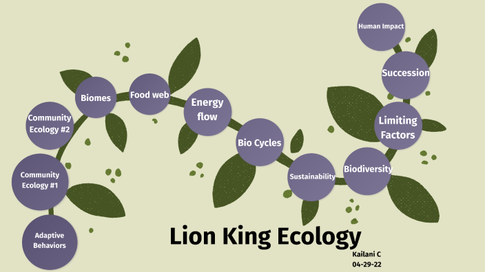 Lion King Ecology By Kailani Chiszle