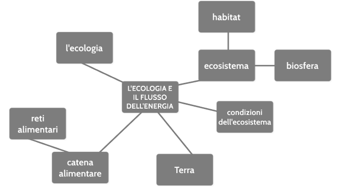 l'ecologia e il flusso dell'energia by Aurora Pina