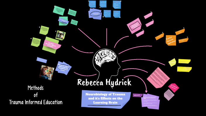 neurobiology of trauma and its effects on the learning brain by Rebecca ...