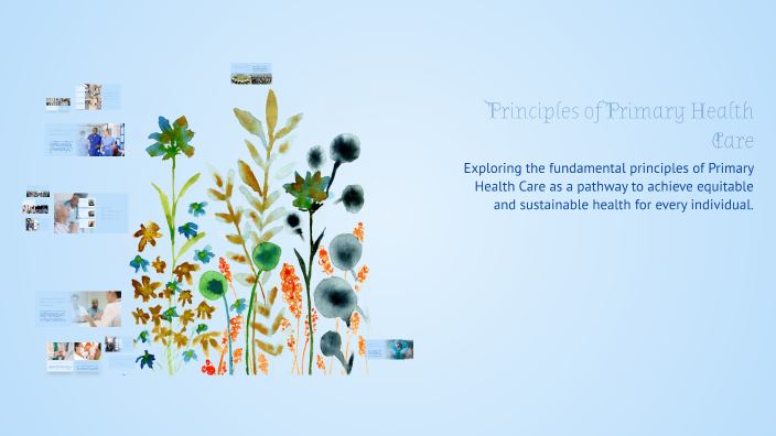 Principles of Primary Health Care by Sangeetha Vijay on Prezi