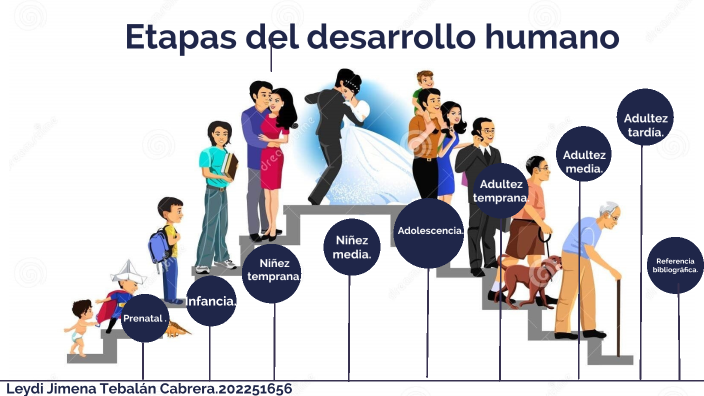 Etapas del desarrollo humano by Jimena Cabrera on Prezi Next
