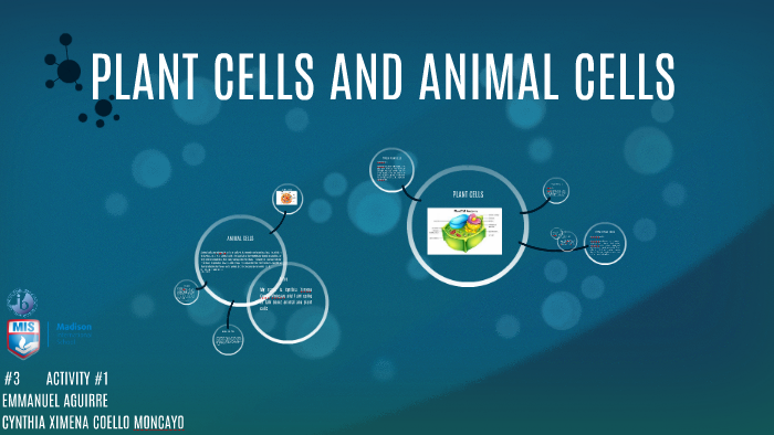PLANT CELLS AND ANIMAL CELLS by ximena coello on Prezi
