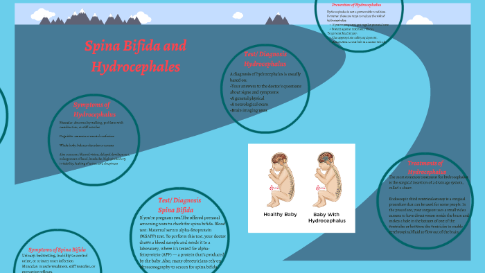 Spina Bifida And Hydrocephalus By Kenzie Keough