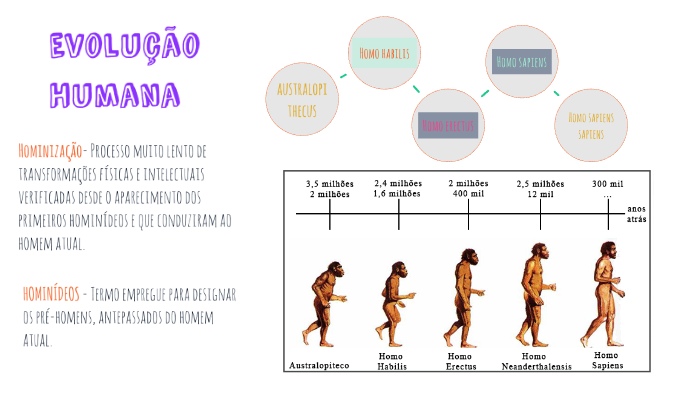 EVOLUCAO HUMANA By Arielly Alves On Prezi