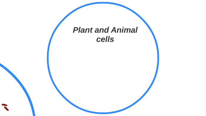 Plant and Animal cells by shelby bryant on Prezi