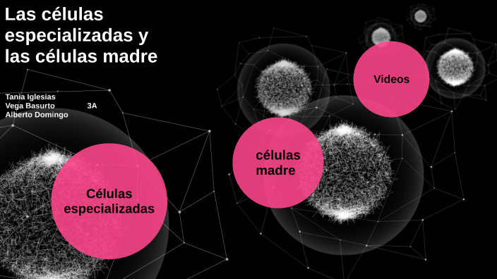 las células especializadas by Tania Iglesias Calderon on Prezi Next