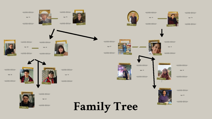 family tree by Sarahy Cuevas on Prezi