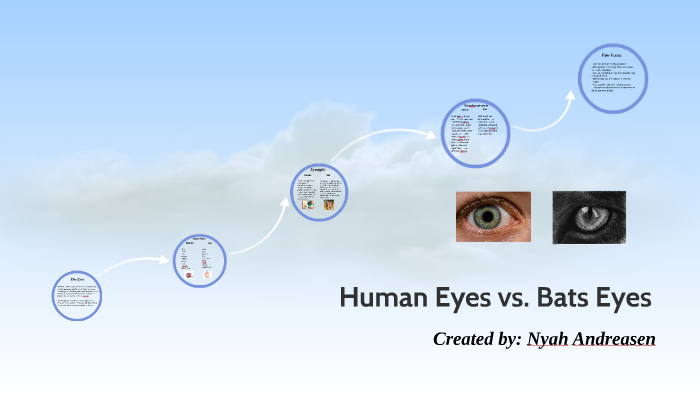 The Eye by on Prezi