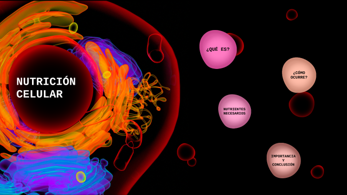 La Nutricion Celular By Rocio Garcia On Prezi