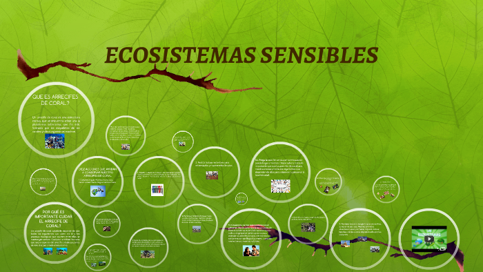 ECOSISTEMAS SENSIBLES by Yuranii Andreaa Garzon on Prezi