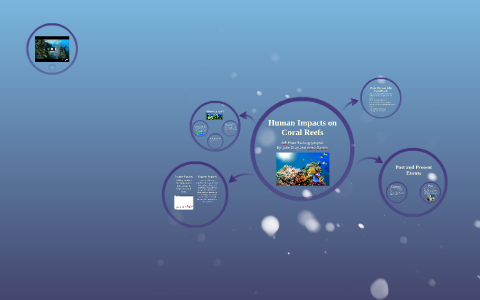 Human Impacts on Coral Reefs by Jake Gray on Prezi