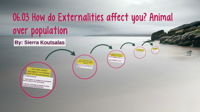 06.03 How do Externalities affect you? Animal over populatio by sierra