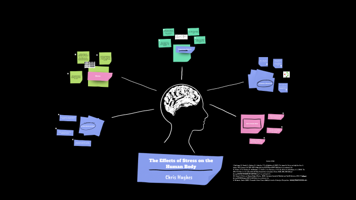 The Effects of Stress on the Human Body by Chris Hughes on Prezi