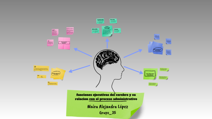 neuroadministración by Maira Alejandra López on Prezi