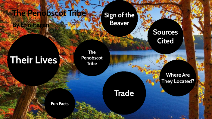 Sign of the Beaver Choice Board by Erin Hagan on Prezi